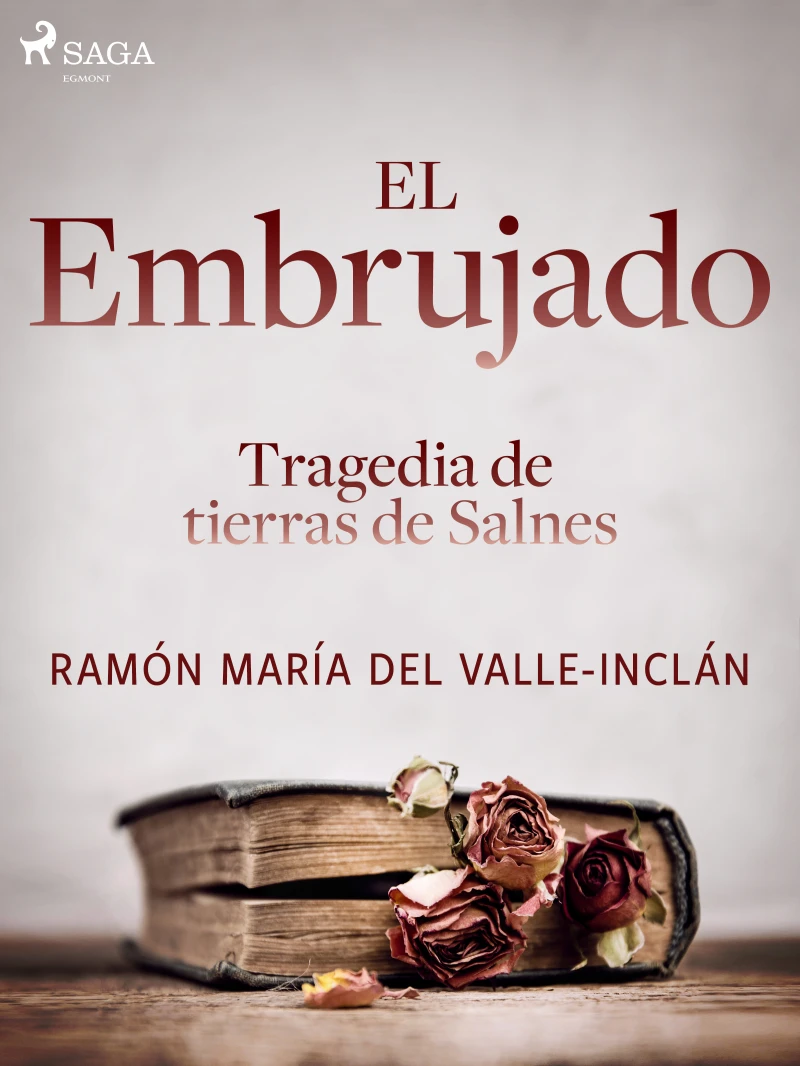 Portada: El embrujado. Tragedia de tierras de Salnes