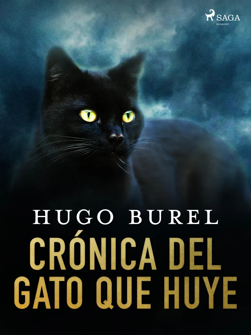 Portada: Crónica del gato que huye