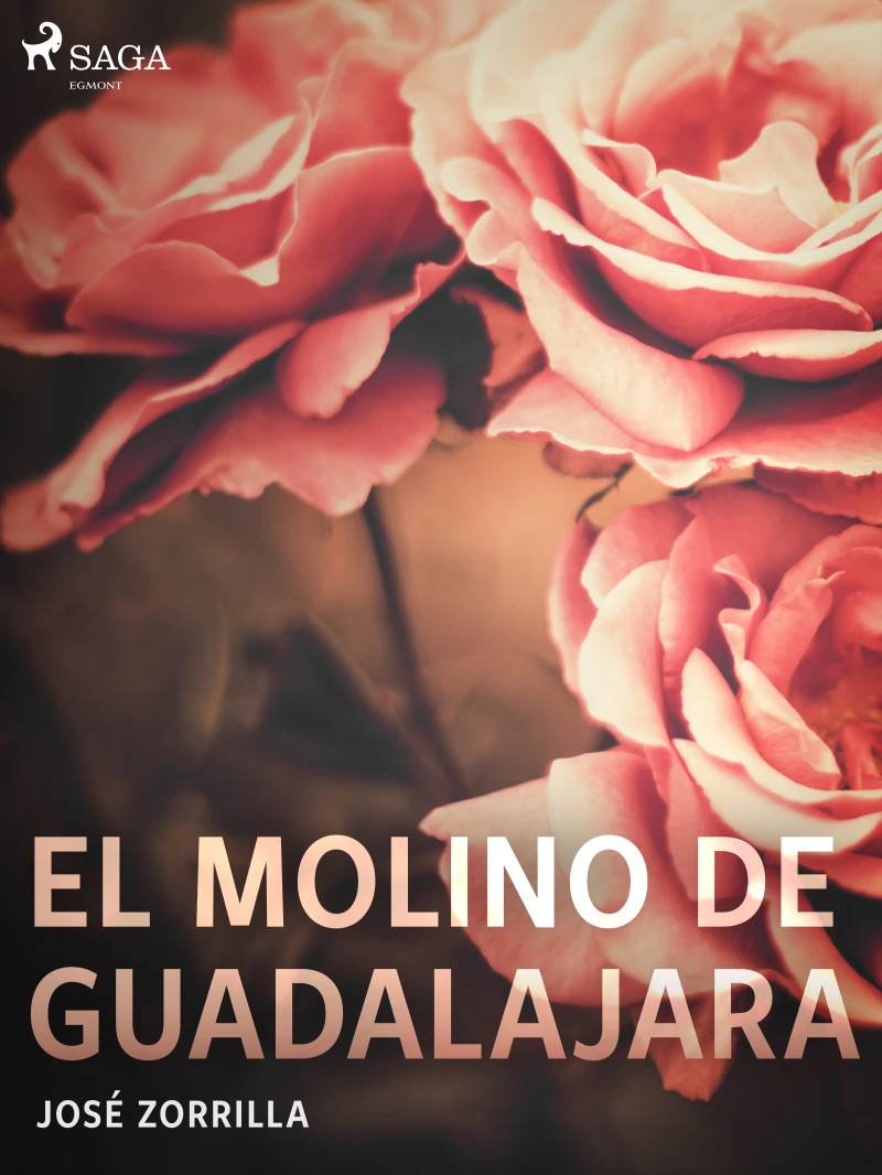 Portada: El molino de Guadalajara