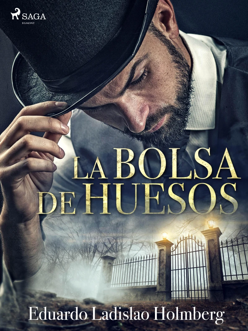 Portada: La bolsa de huesos
