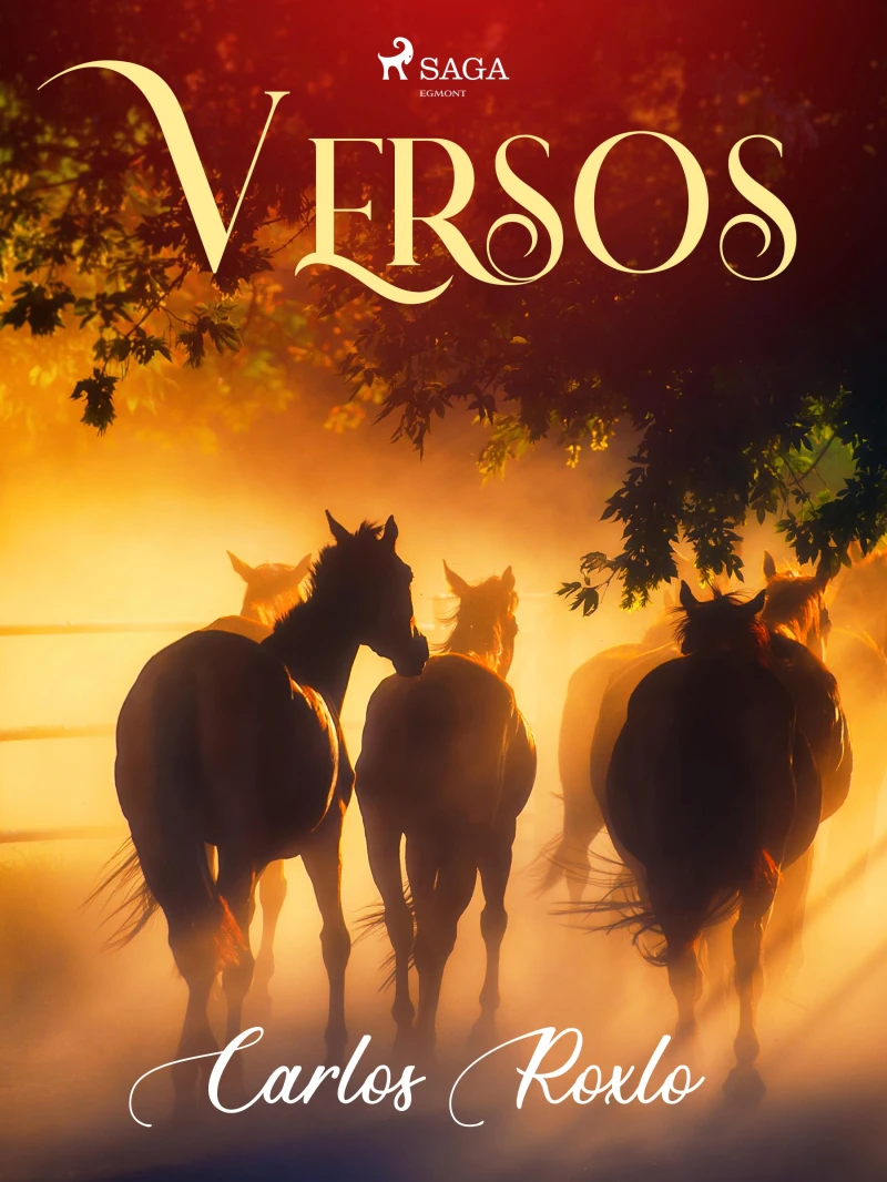 Portada: Versos