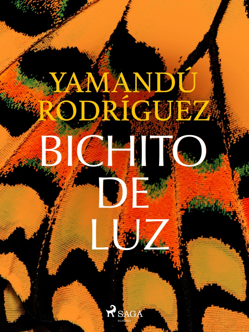 Portada: Bichito de luz