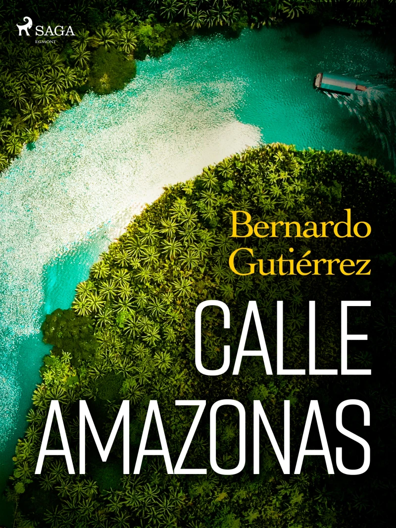 Portada: Calle Amazonas
