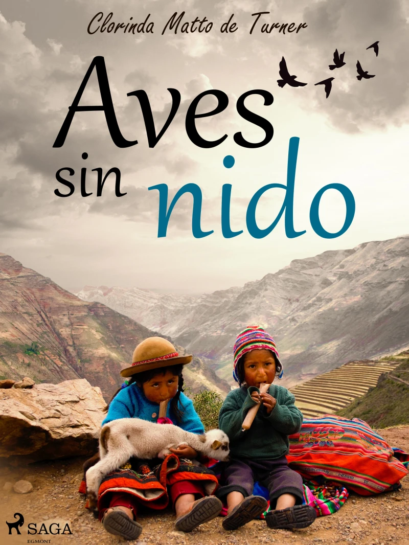 Portada: Aves sin nido