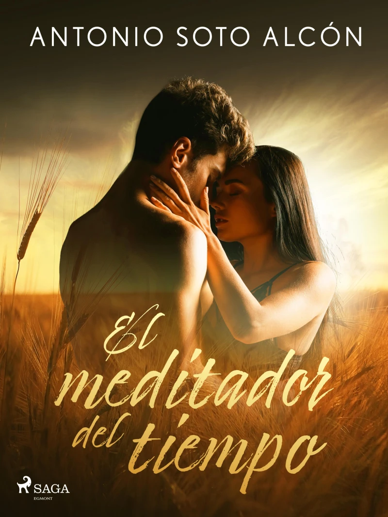Portada: El meditador del tiempo