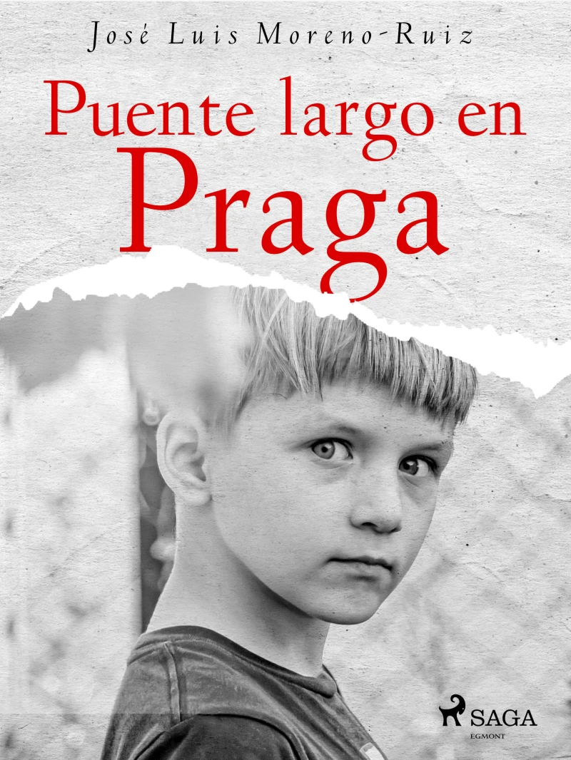 Portada: Puente largo en Praga