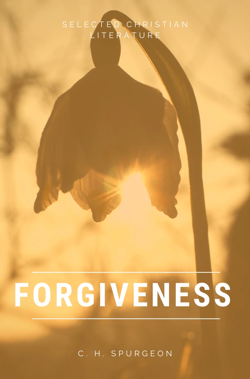 Portada: Forgiveness