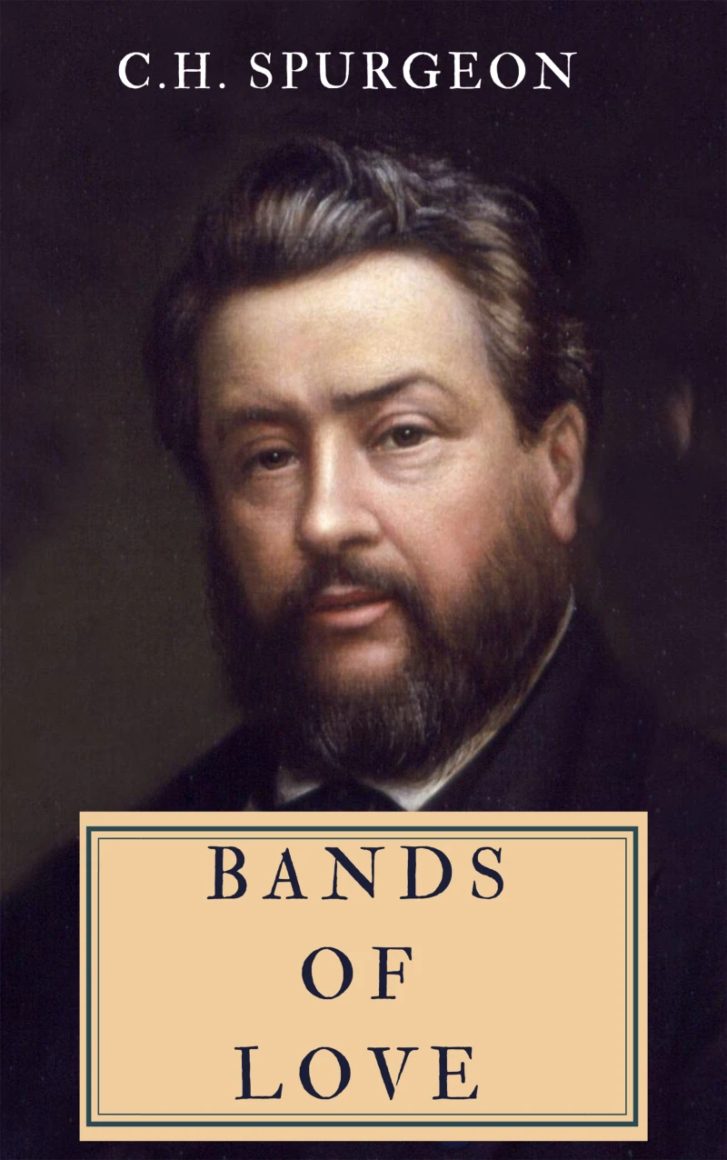 Portada: Bands of Love