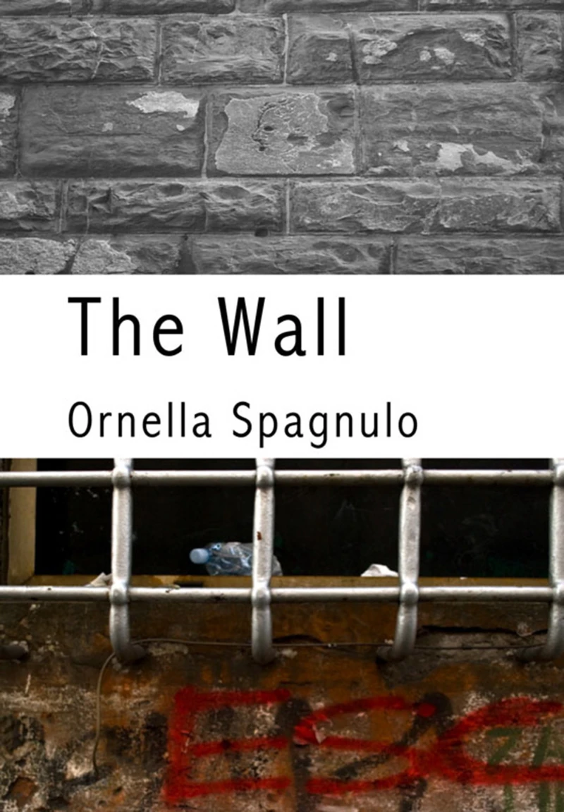 Portada: The wall