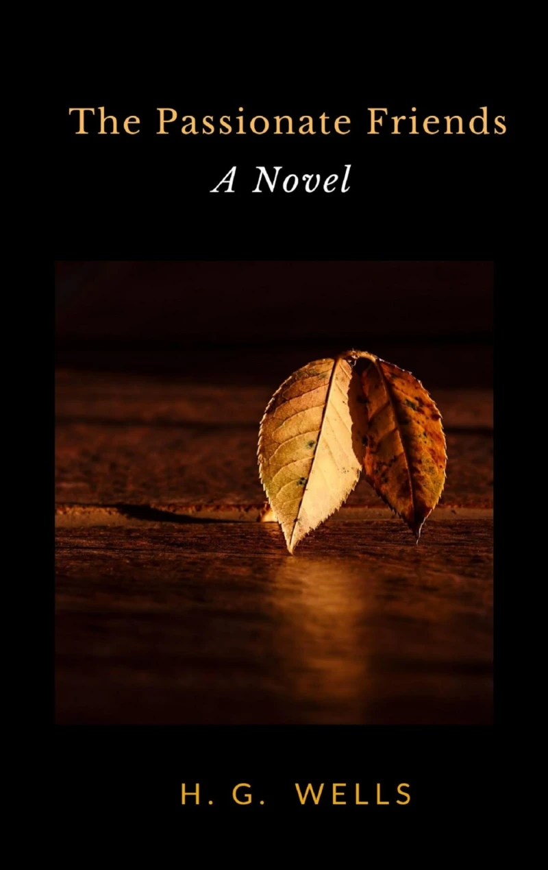 Portada: The Passionate Friends: A Novel