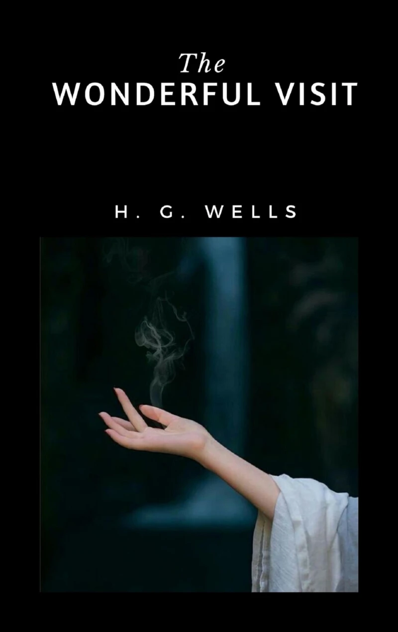 Portada: The Wonderful Visit