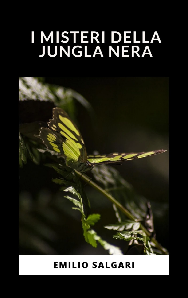 Portada: I misteri della jungla nera