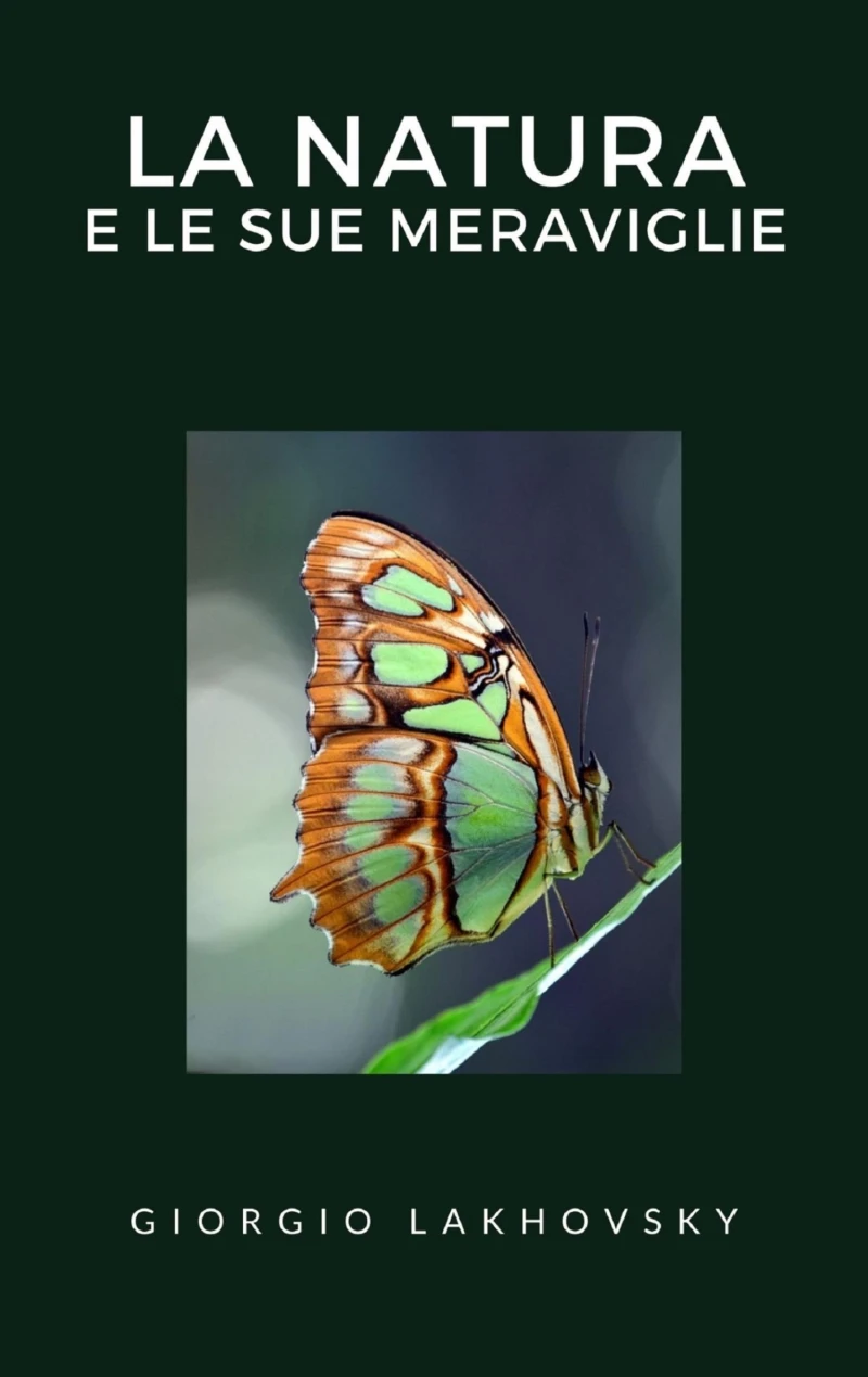 Portada: La natura e le sue meraviglie