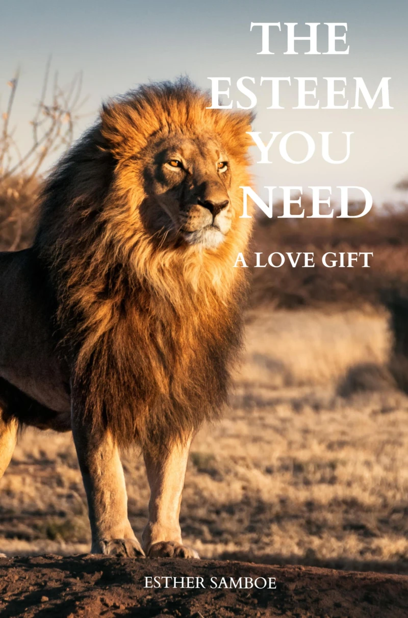 Portada: The esteem you need