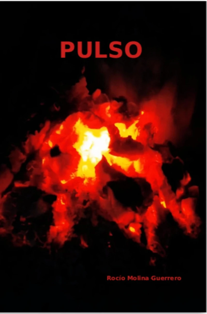 Portada: PULSO