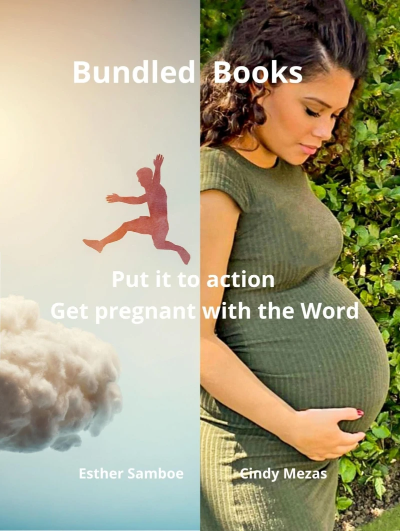 Portada: Bundled Books: Get pregnant with the Word | Put it to action