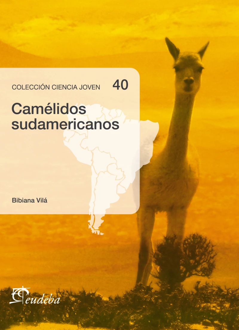 Portada: Camélidos sudamericanos