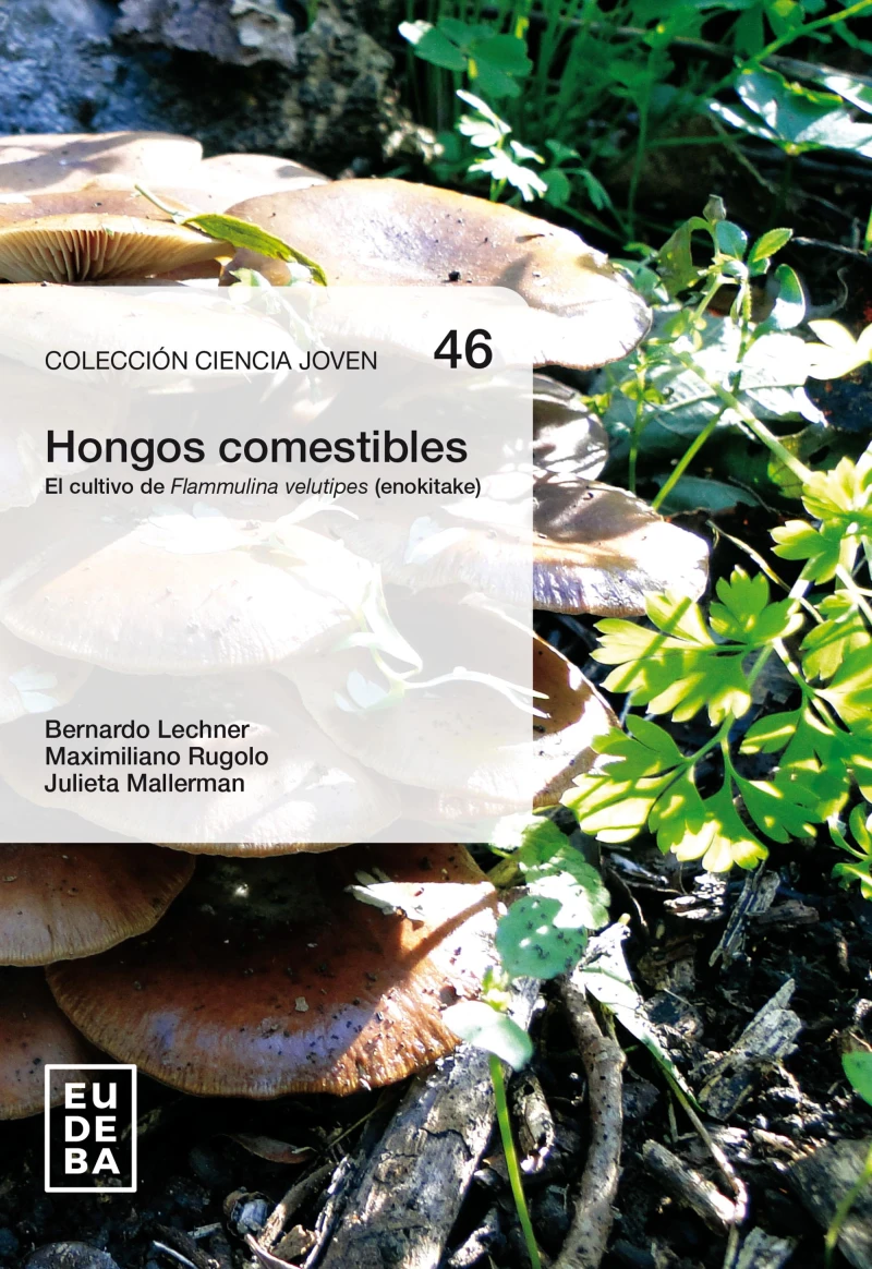 Portada: Hongos comestibles