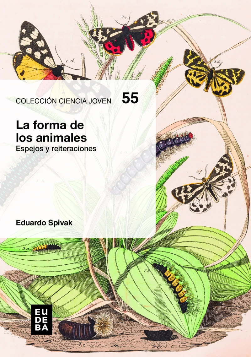 Portada: La forma de los animales