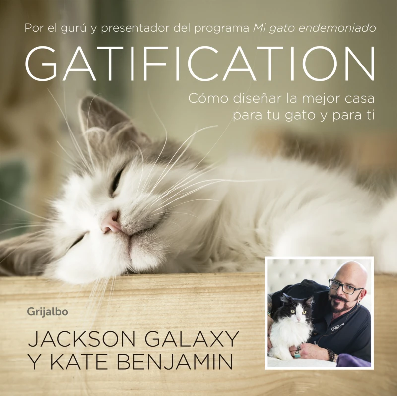 Portada: Gatification