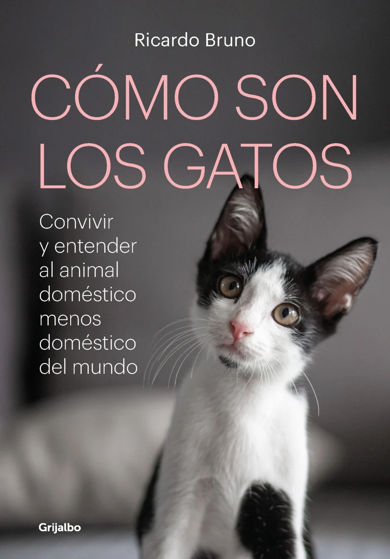 Portada: Cómo son los gatos