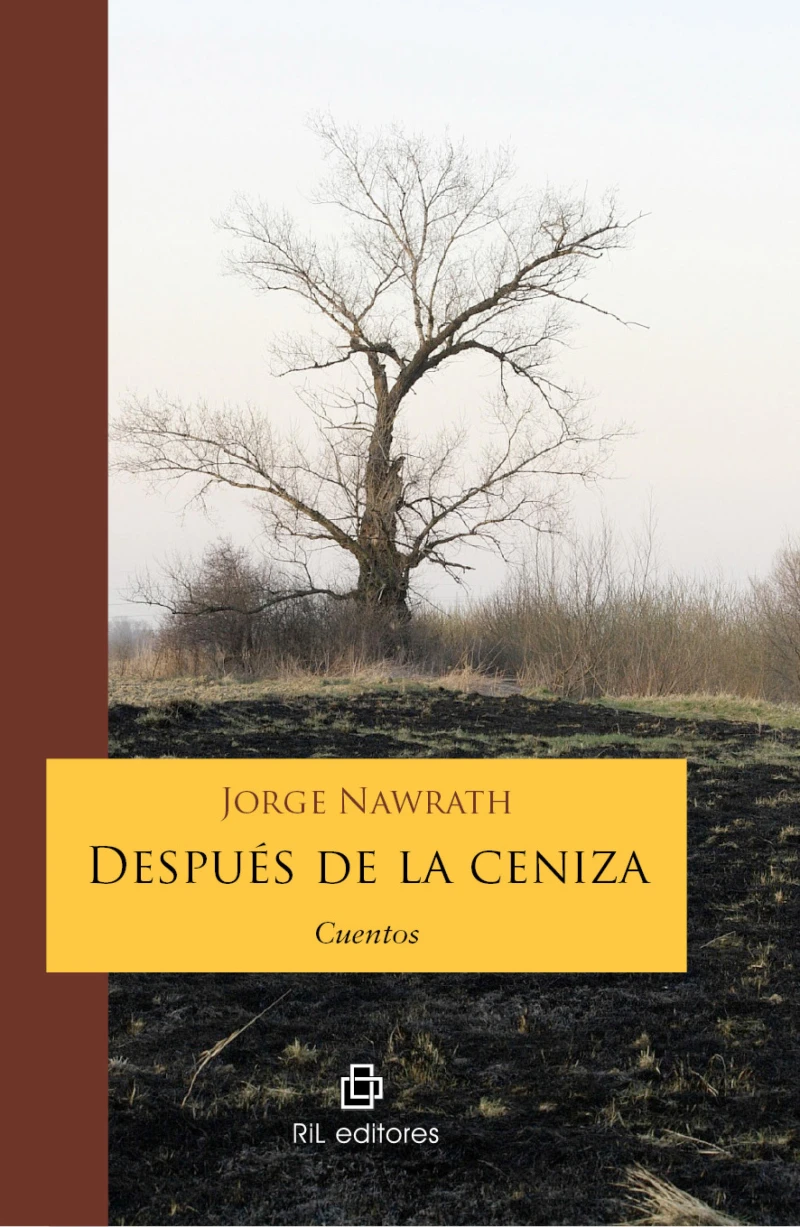 Portada: Después de la ceniza. Cuentos