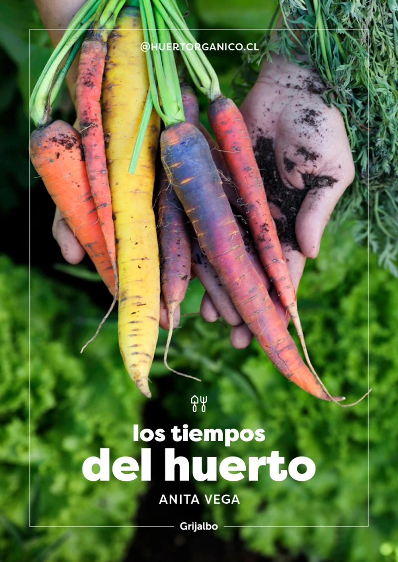 Portada: Los tiempos del huerto
