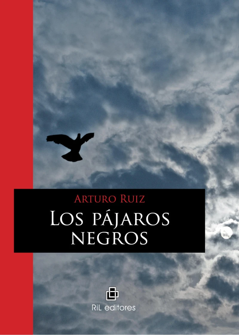 Portada: Los pájaros negros