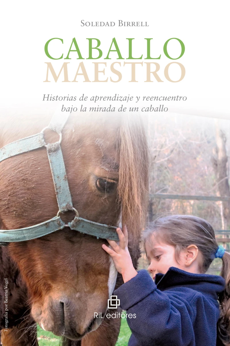 Portada: Caballo maestro: historias de aprendizaje y reencuentro bajo la mirada de un caballo