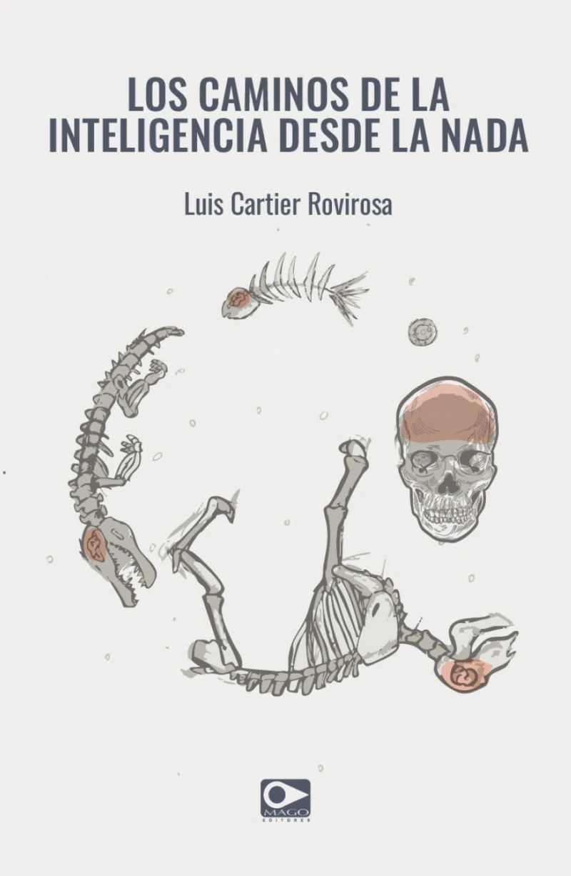 Portada: Los Caminos de la Inteligencia Desde Nada