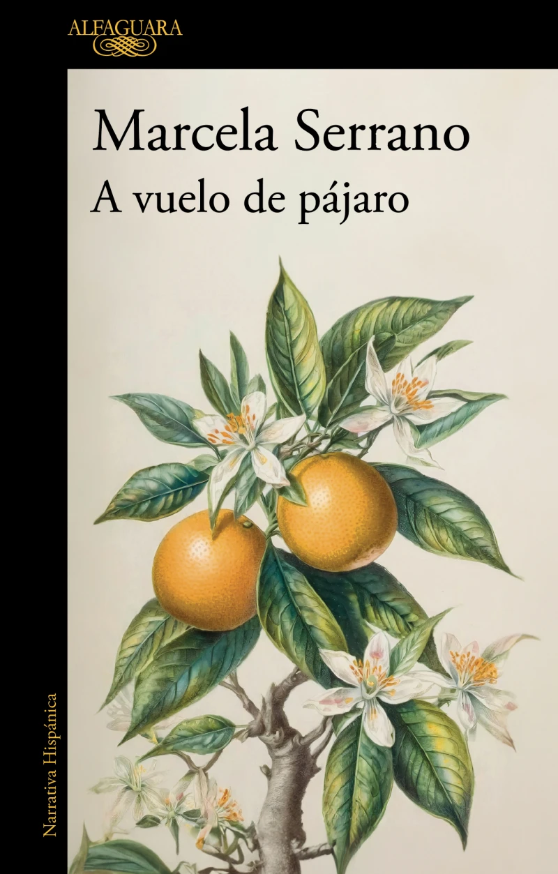 Portada: A vuelo de pájaro