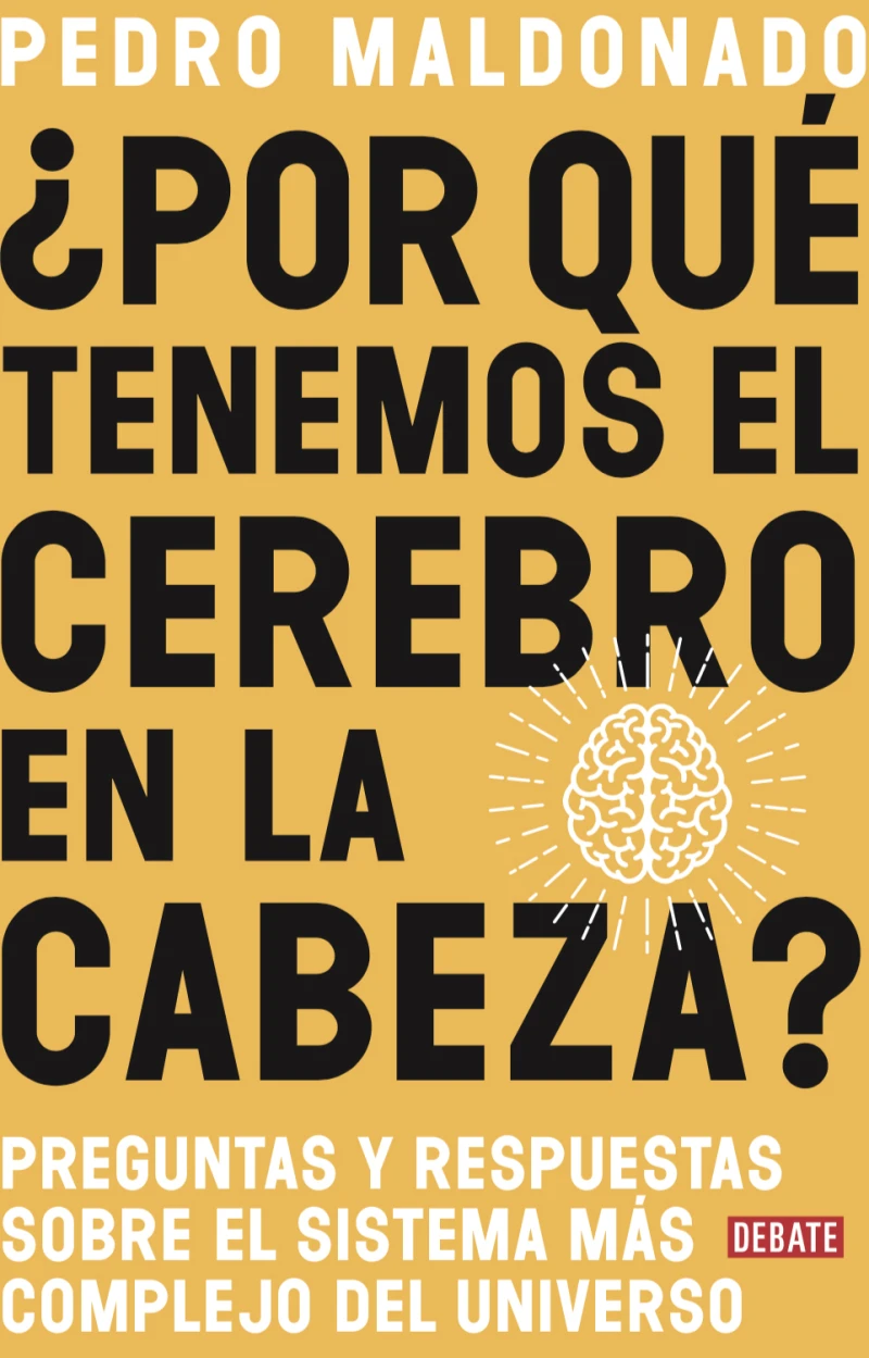 Portada: ¿Por qué tenemos el cerebro en la cabeza?