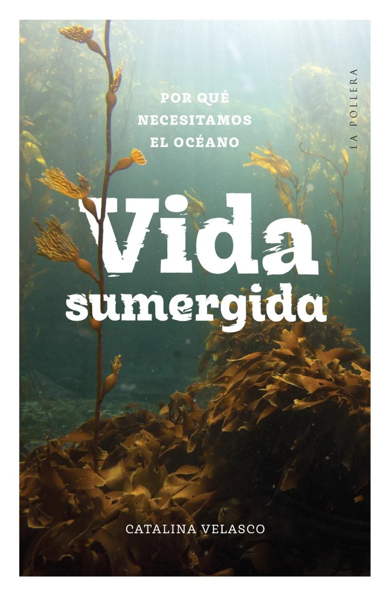 Portada: Vida sumergida