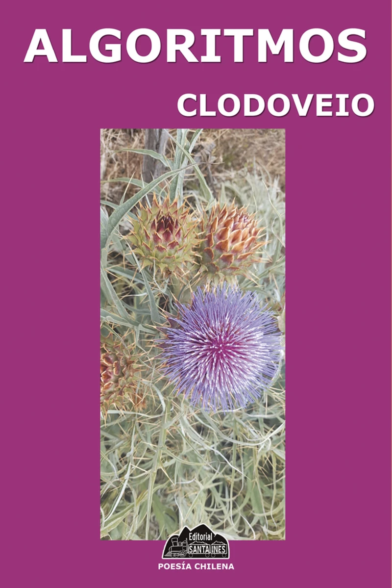 Portada: Algoritmos