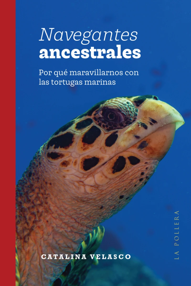 Portada: Navegantes ancestrales