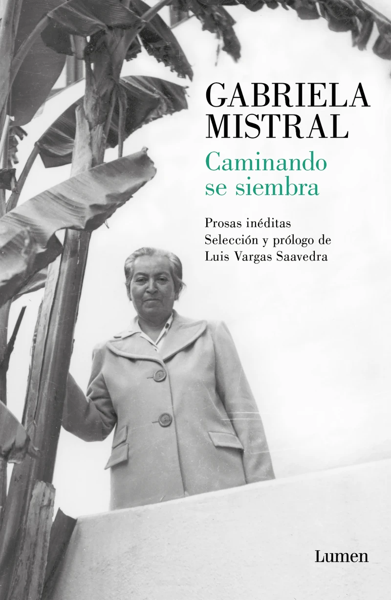 Portada: Caminando se siembra