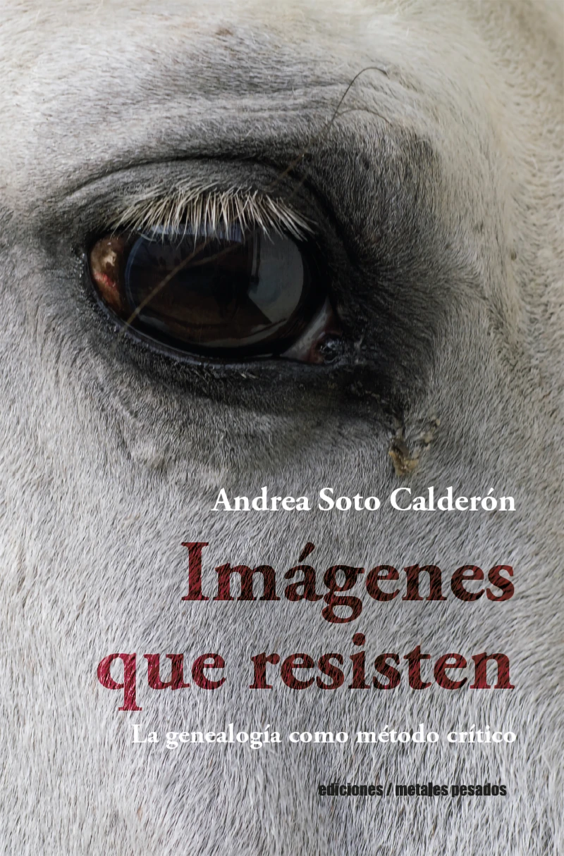 Portada: Imágenes que resisten