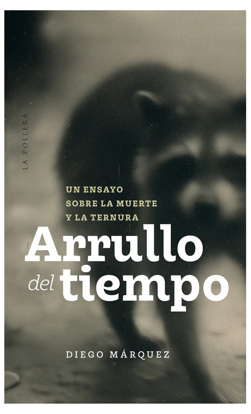 Portada: Arrullo del tiempo