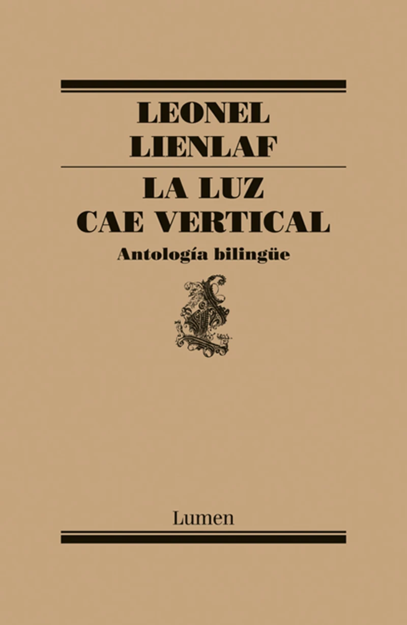 Portada: Luz cae vertical