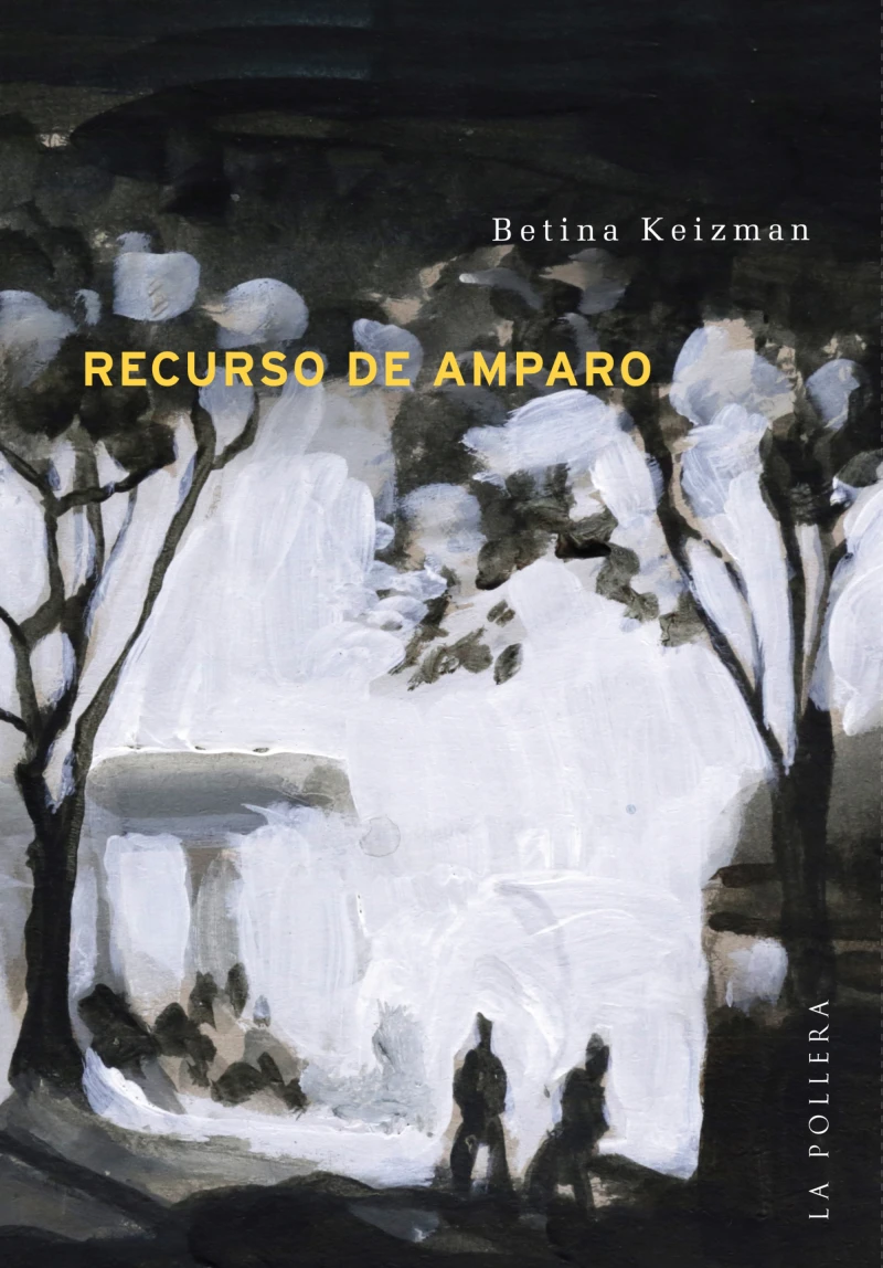 Portada: Recurso de amparo