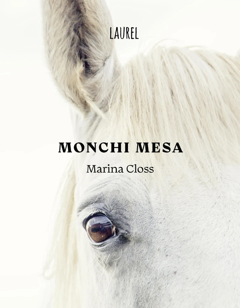 Portada: Monchi Mesa