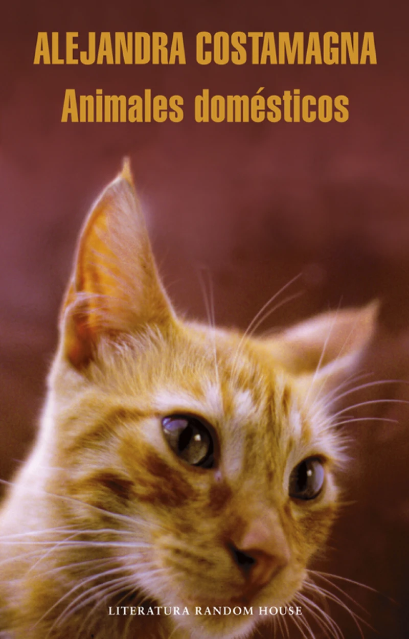 Portada: Animales domésticos