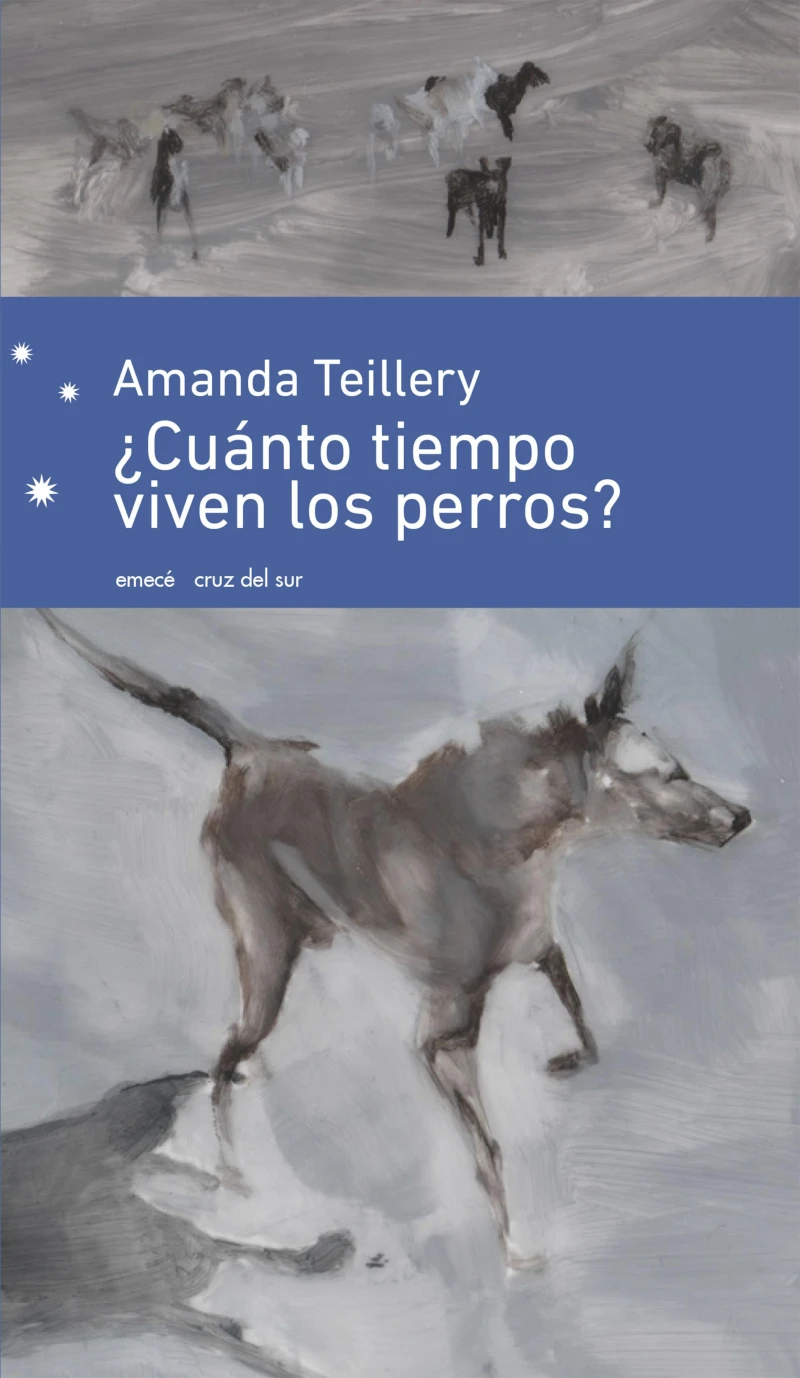 Portada: ¿Cuánto tiempo viven los perros?