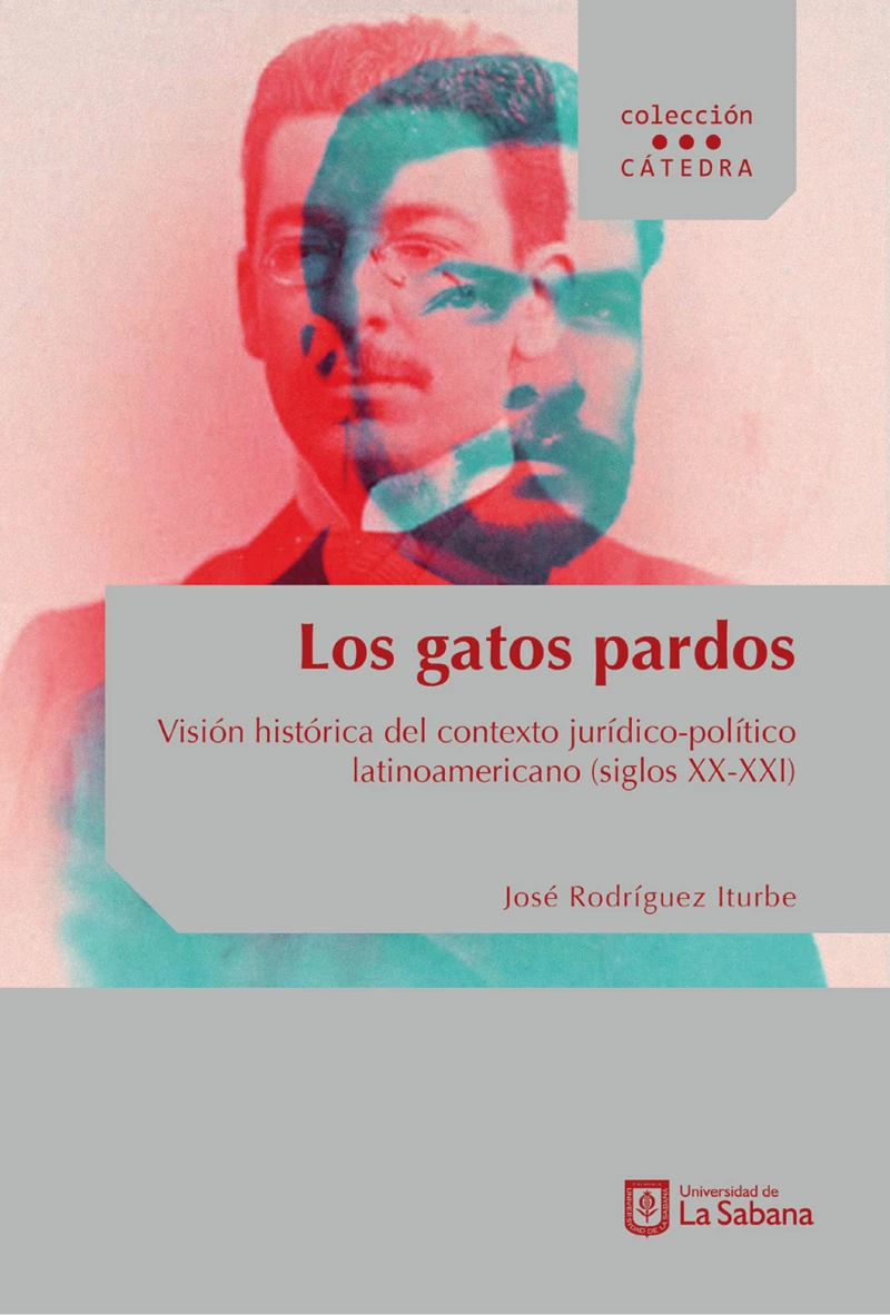 Portada: Los gatos pardos