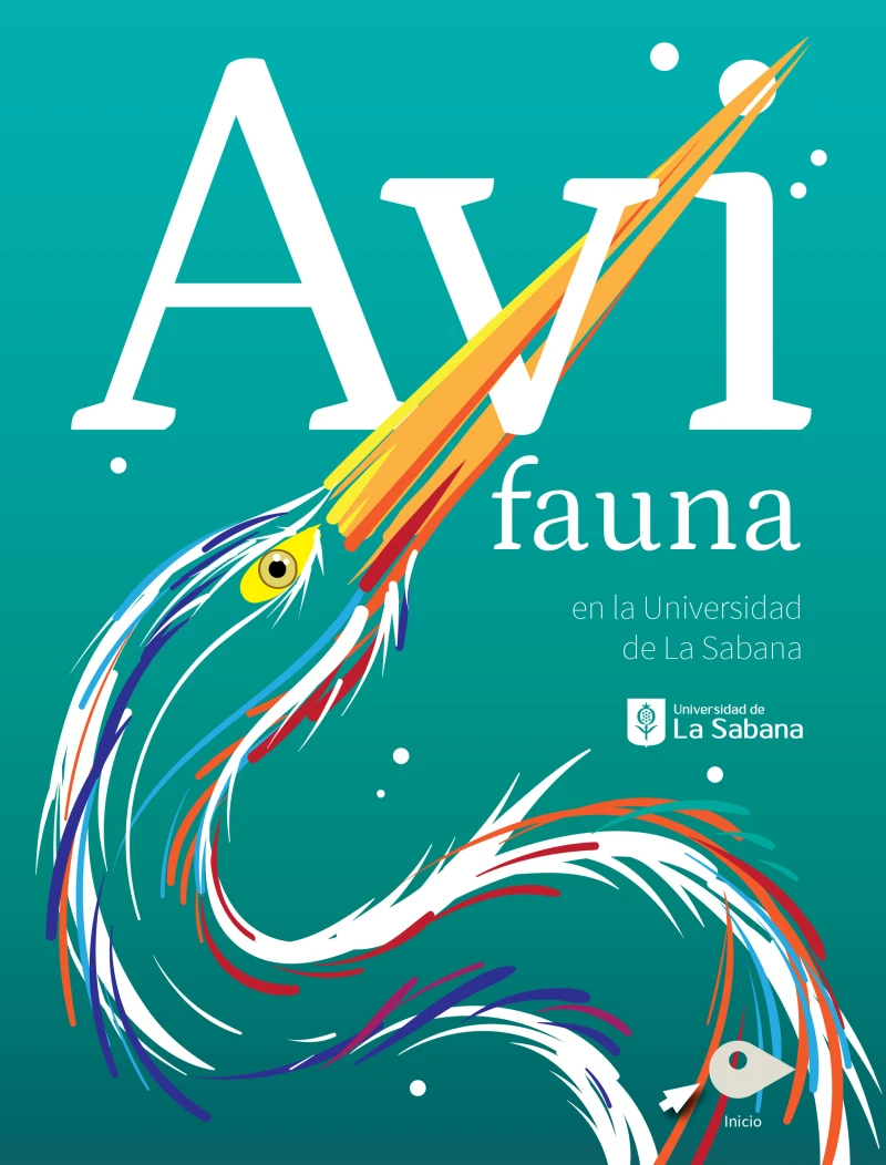 Portada: Avifauna en la Universidad de La Sabana