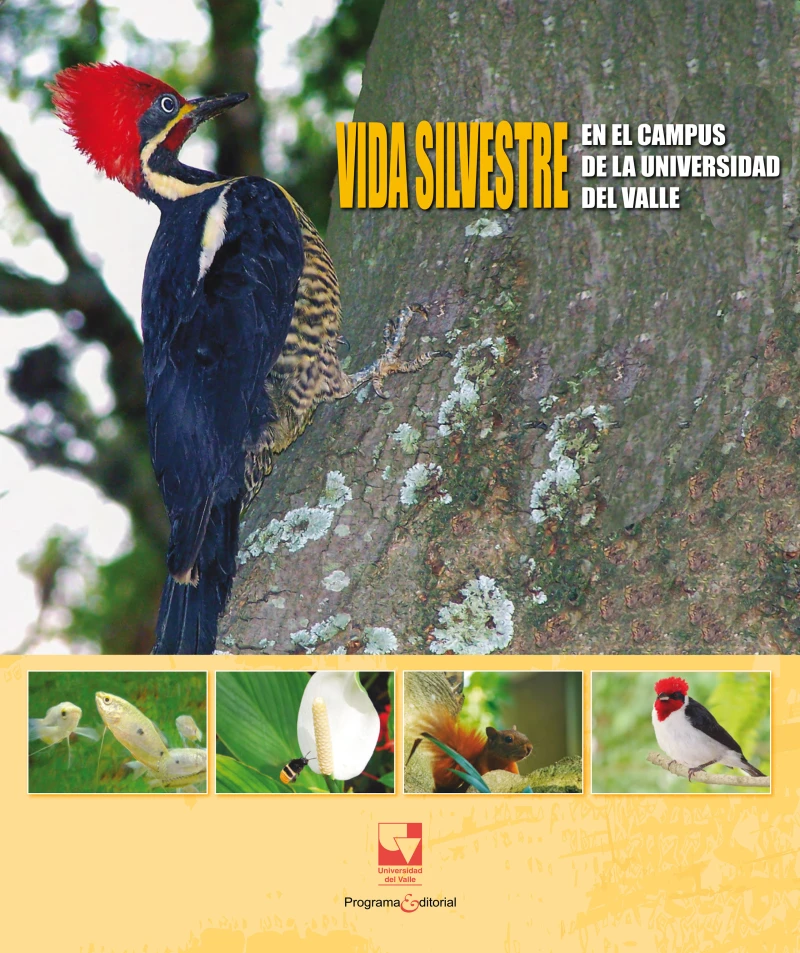 Portada: Vida silvestre