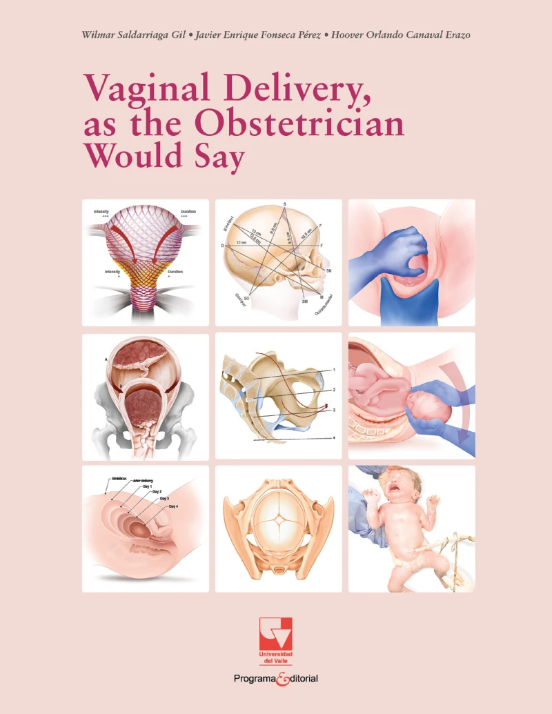 Portada: Vaginal Delivery, as the Obstetrician Would Say
