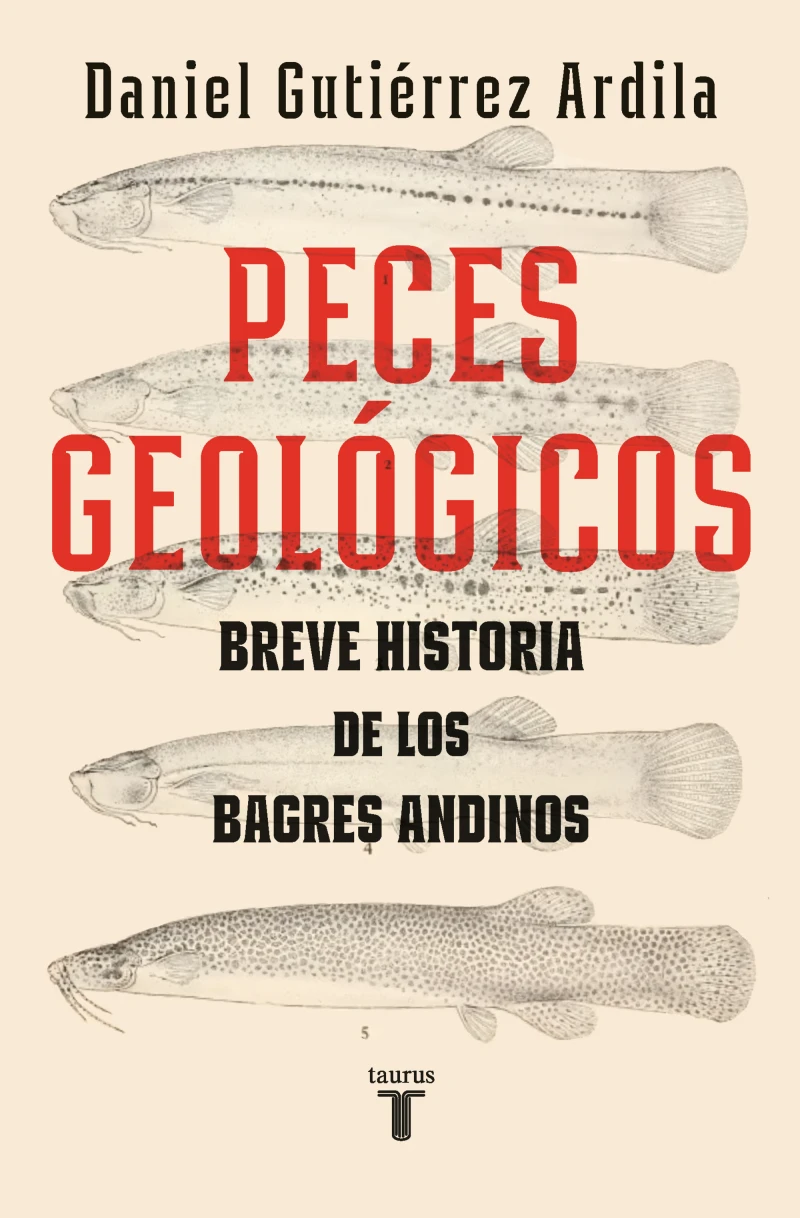 Portada: Peces geológicos