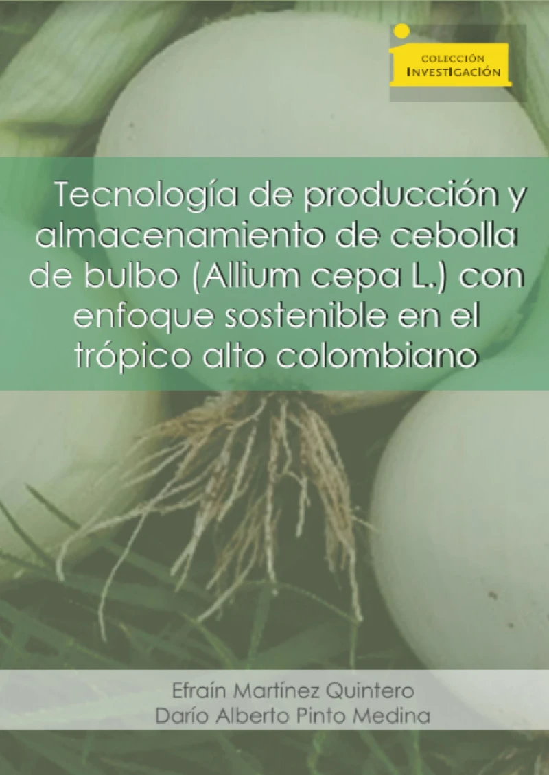 Portada: Tecnología de producción y almacenamiento de cebolla de bulbo (Allium cepa L.)