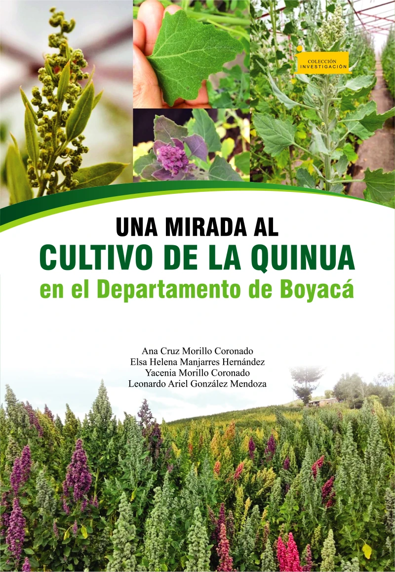 Portada: Una mirada al cultivo de la quinua en el departamento de Boyacá